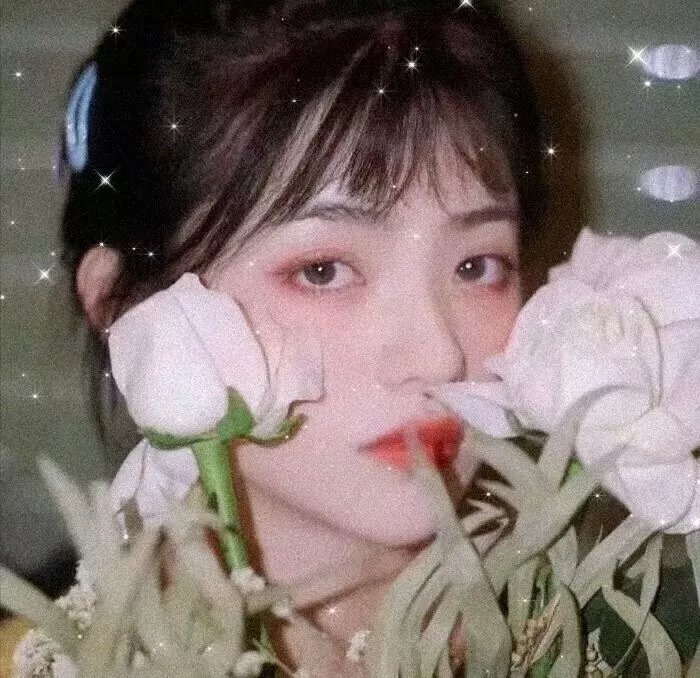 欲望之翼